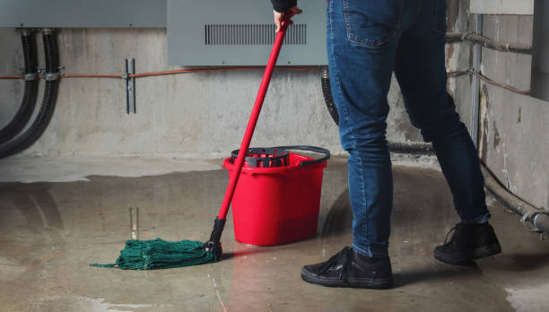 Best Water damage cleanup near me  in Mohnton, PA