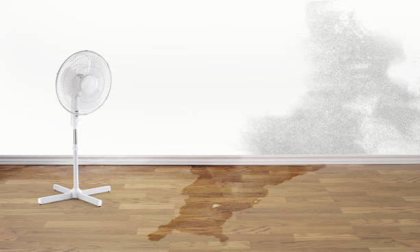 Mohnton, PA Water damage restoration Company