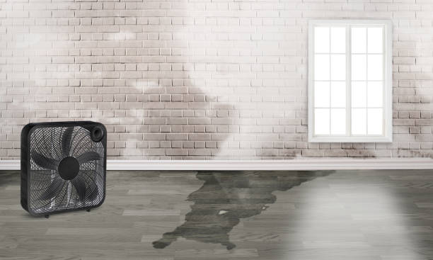 Mohnton, PA Water damage restoration Company