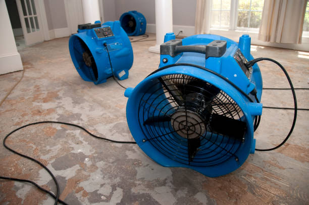 Best Residential water damage restoration  in Mohnton, PA