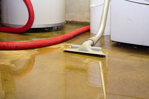 Best Professional water damage repair  in Mohnton, PA