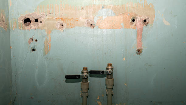 Best Water damage contractors near me  in Mohnton, PA